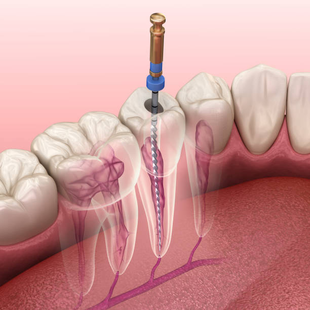 Dr. Tisa's Dental House Vaikom